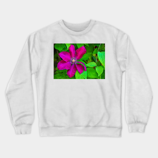 Brilliant Clematis Crewneck Sweatshirt by mariakeady